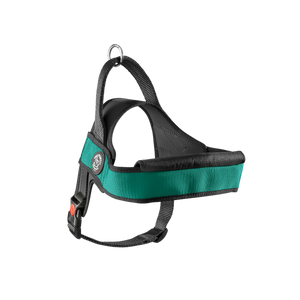 Primo Plus Harness With Handle Teal