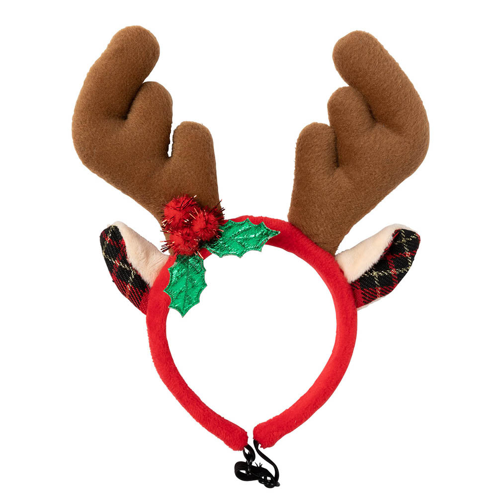 Reindeer Antlers